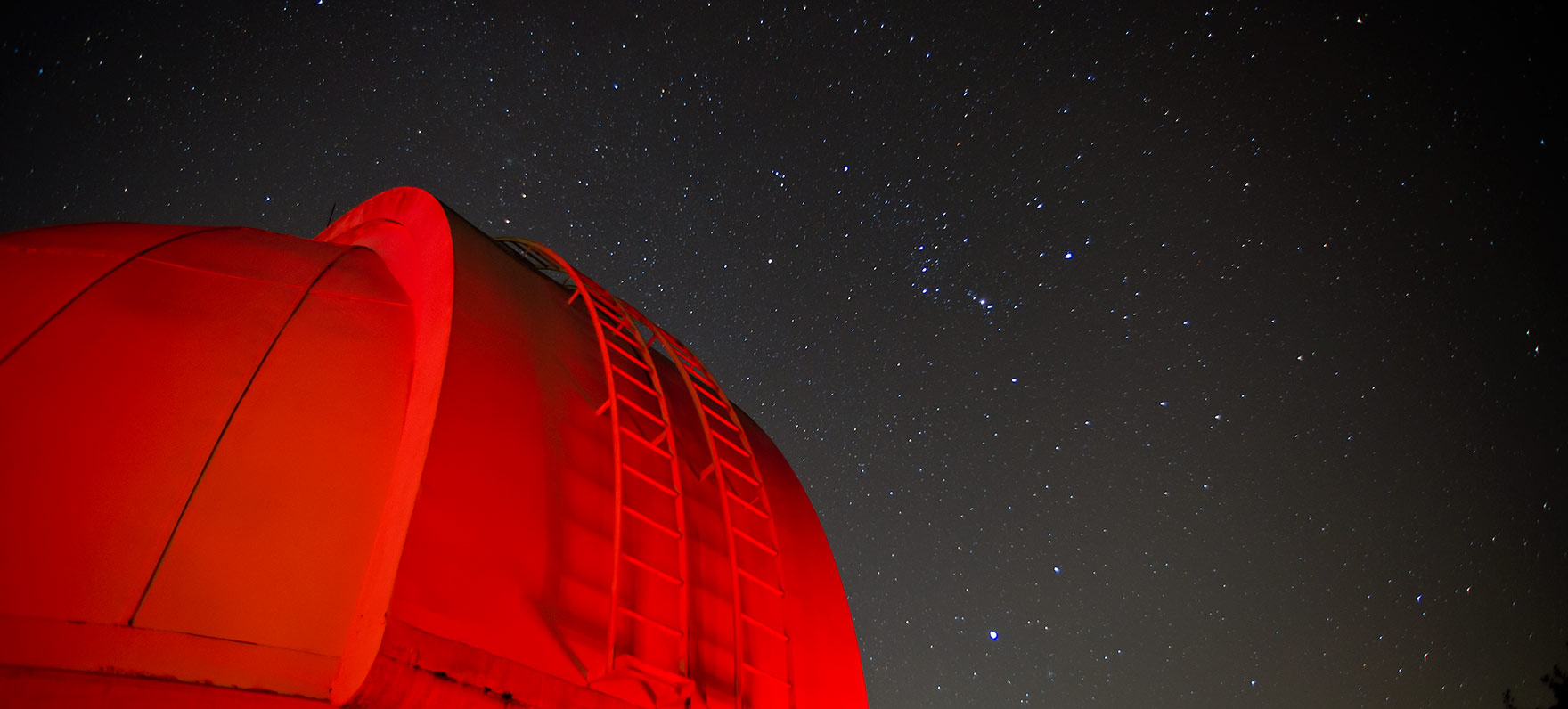 Brazos Bend night sky
