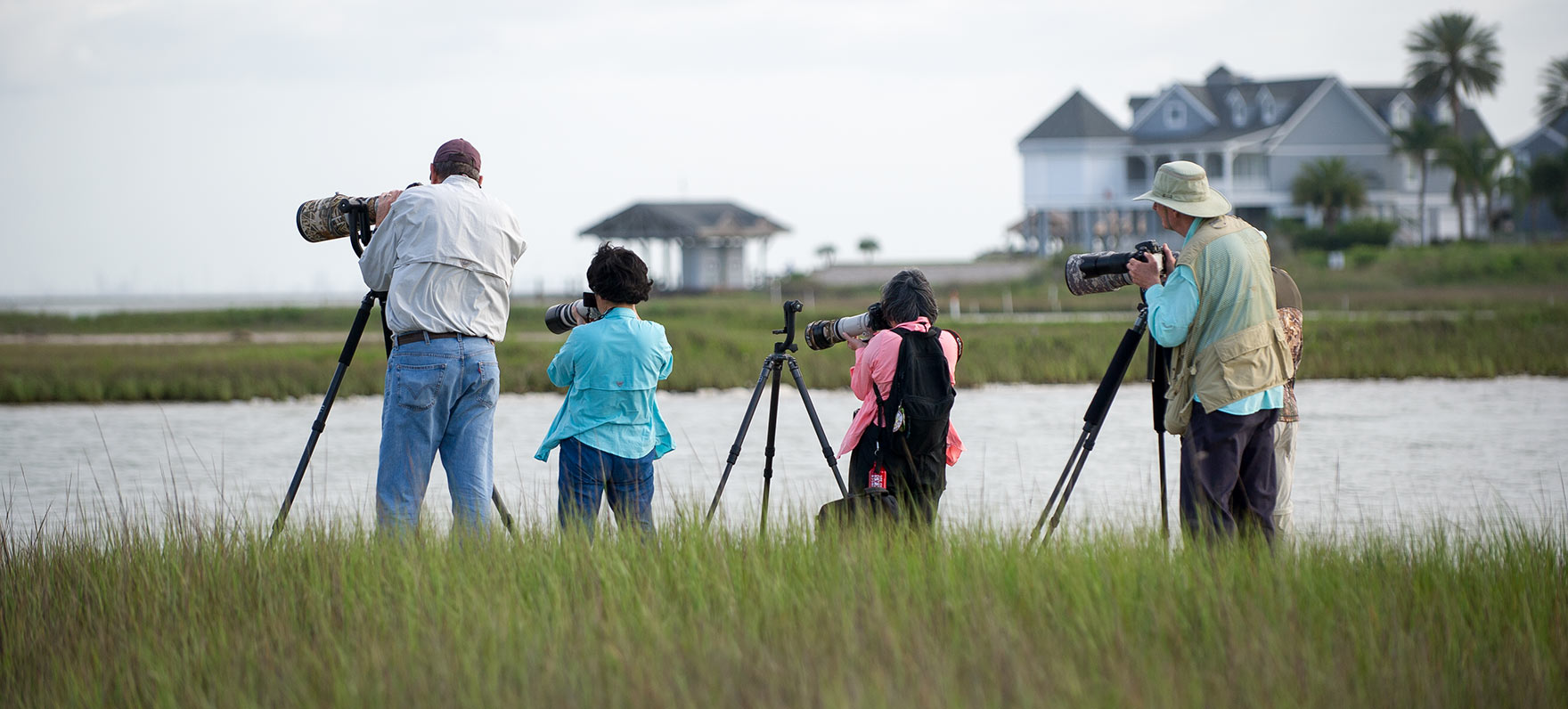 Nature photography at Galveston Island state park