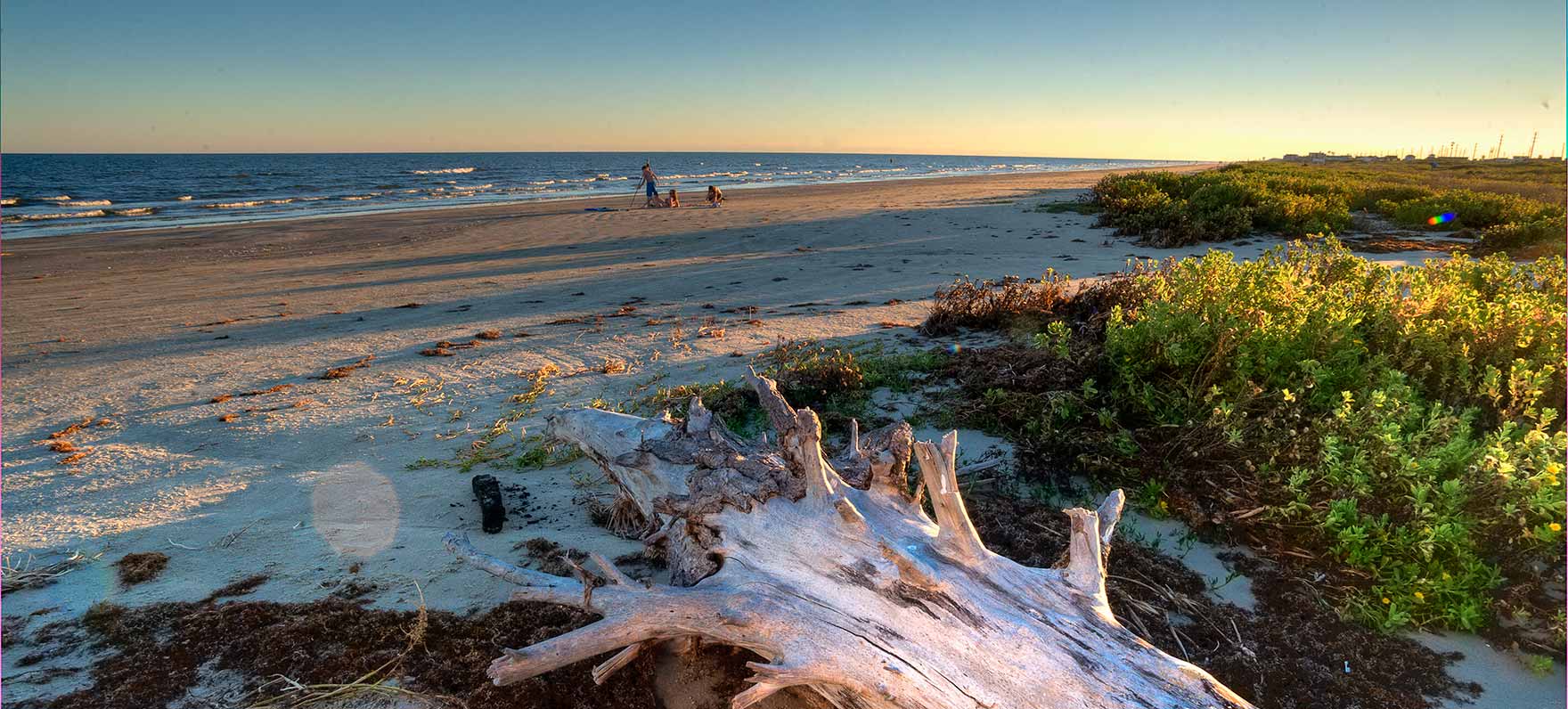 Driftwood and beach at sunset