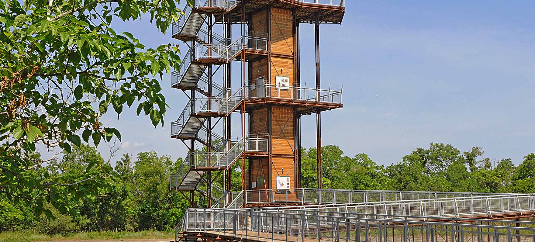 Sheldon tower